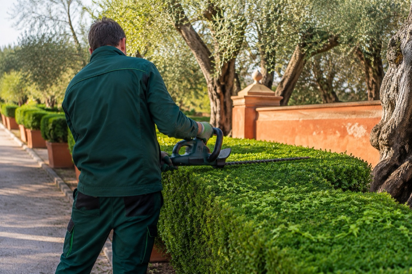 Jardinero recortando un seto de boj en una villa